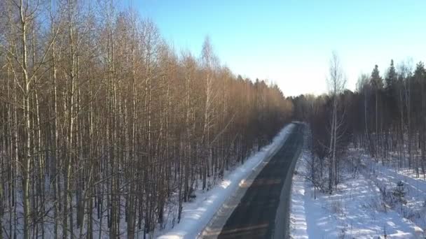 Fotoaparát se tyčí nad dlouhou trať v lese proti obloze v zimě — Stock video
