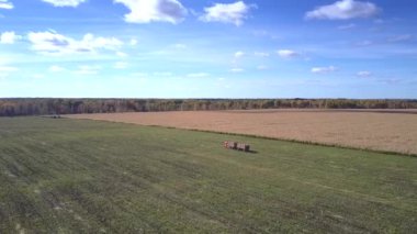 havadan görünümü kamyon römork ile Mısır alan sürücüler