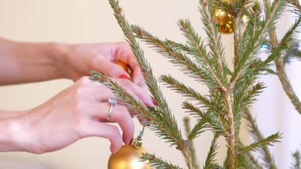 Lento movimento menina mãos pendurar bola de ouro na árvore de Natal — Vídeo de Stock
