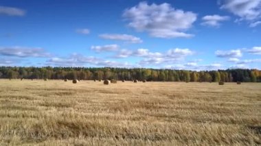 orman karşı sahada dağınık balya üzerinden hava hareket