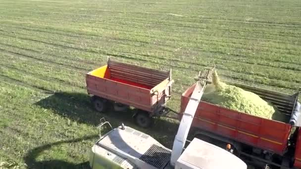 Uzavřete horní pohled, že silážní kombajn nalévá kukuřičné hmoty do kamionu — Stock video