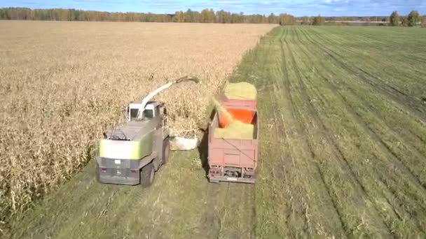 Drone paira sobre colheitadeira recolhendo folhagem de milho por caminhão — Vídeo de Stock