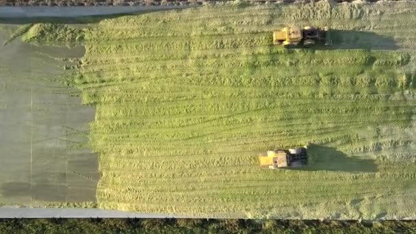 Bulldozers spéciaux verticaux aller-retour dans la fosse d'ensilage — Video