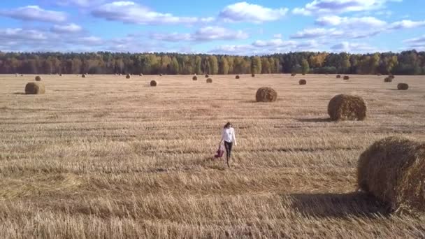 Légifelvételek lány sétál a betakarított mező kendő a kezében — Stock videók
