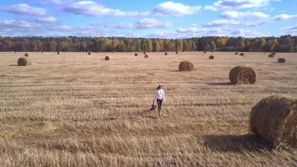 Letecký pohled na dívka chodí na pole po žních s šátkem v ruce — Stock video