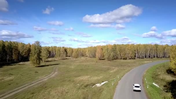 Luchtfoto auto rijdt langs weg meanderende via berken hout — Stockvideo