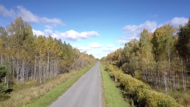 Близький політ до порожньої дороги, що тягнеться серед березових лісів — стокове відео