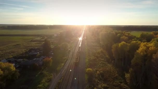 Bovenste deelvenster goederentrein beweegt door bos bij zonsondergang — Stockvideo