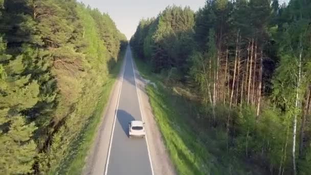 la route aérienne serpente entre les côtés ensoleillés et ombragés de la forêt 