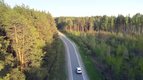Vista aérea coche pasa por bosque joven plantado a lo largo de la carretera — Vídeo de stock