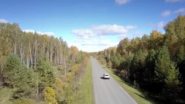 Mooie luchtfoto auto rijdt langs weg onder berk bos — Stockvideo
