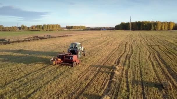 Tractor draws baler pushing up square bales on field — Stock Video