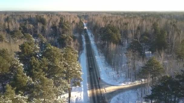 Deportista de movimiento aéreo corre a lo largo de la carretera en el bosque de invierno — Vídeo de stock