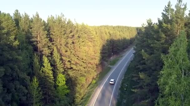 Sluneční světlo světla borovice vrcholky auto jednotky podél stinných silnice — Stock video