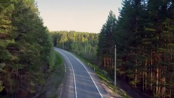 Bird eye flight over highway with cyclists among pines — Stock Video