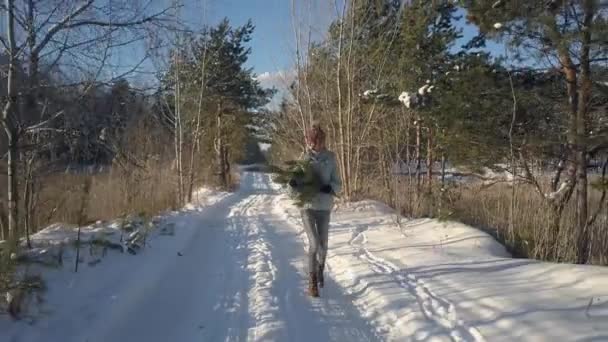 Aerial kvinna bär tall grenar längs Tom skogsväg — Stockvideo