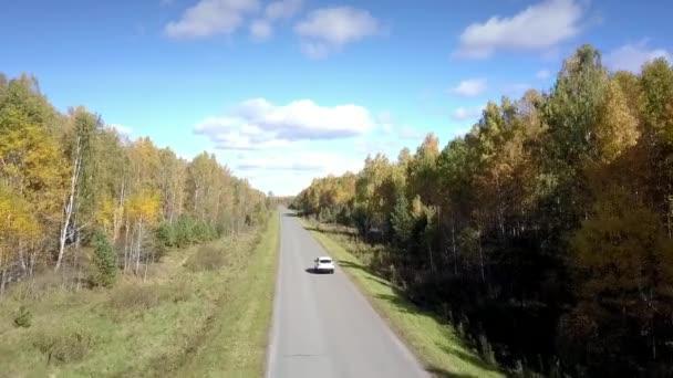 Камера Следует Белым Автомобилем Едущим Пустой Дороге Среди Березового Леса — стоковое видео