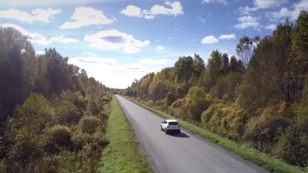 Camera follows car driving along road across wood under sky — Stock Video