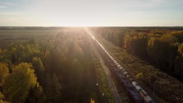 Bovenste goederentreinen verplaatsen in tegengestelde richtingen in bos — Stockvideo