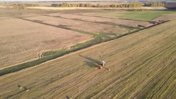Aerial view machinery operates on yellow field in autumn — Stock Video
