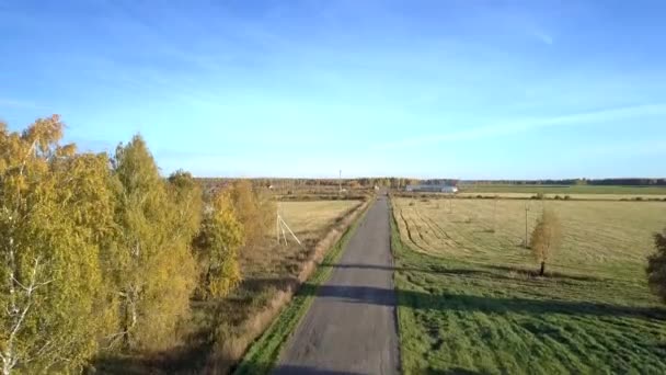 Beweging boven weg tussen velden tegen heldere blauwe hemel — Stockvideo