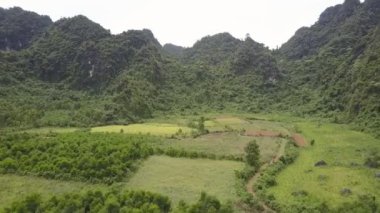 Hava çizilen alanları ormanları tepenin üzerinde hareket tesisi