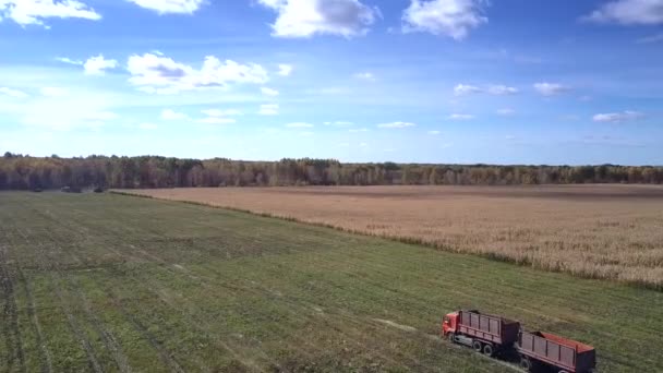 Caminhão vista superior com passeios de reboque ao longo do campo colhido — Vídeo de Stock