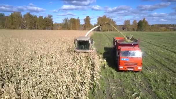 Nauwe vooraanzicht combineren snijdt maïs stengels giet in vrachtwagen — Stockvideo