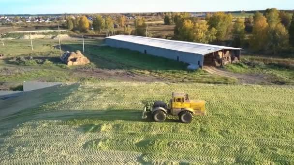 Havadan görünümü Traktörler hasat Silaj büyük çukura bastırıp sıkıştırmak — Stok video