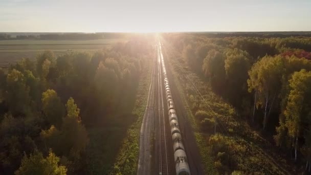 vue supérieure entraînement du train de marchandises à travers le bois contre le coucher du soleil 