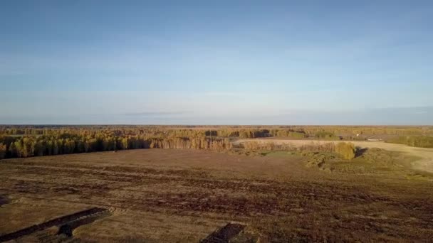 survol des champs récoltés vers les forêts sous le ciel bleu  