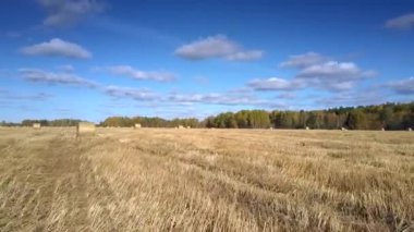 üst hareket üzerinde dağınık anız sahada orman tarafından alır.