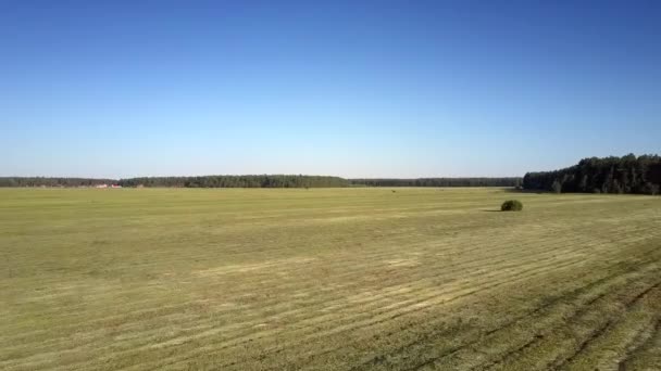 Краєвид з трав'яним полем проти лісу під блакитним небом — стокове відео