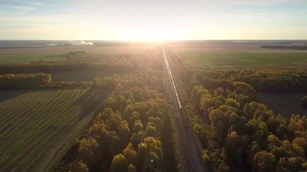 Impulsiones panorámicas del tren de carga en madera contra la puesta del sol — Vídeos de Stock