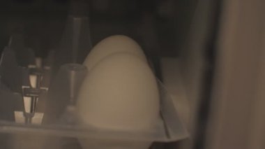 Makro aşçı eldiven beyaz yumurta buzdolabı kapsayıcıdan alır.