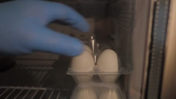 近距离观察厨师手在蓝色手套采取鸡蛋从冰箱 — 图库视频影像