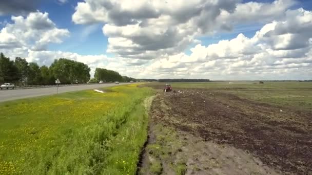Vogels kudde vliegt over harrowed veld op weg onder de blauwe hemel — Stockvideo