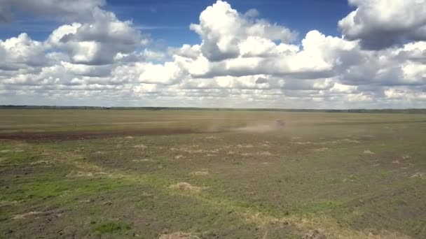Зеленое поле и дальний трактор поднимают пыль — стоковое видео