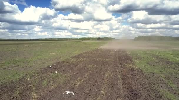 Flycam následuje traktor v oblaku prachu a ptáků na brázdy — Stock video