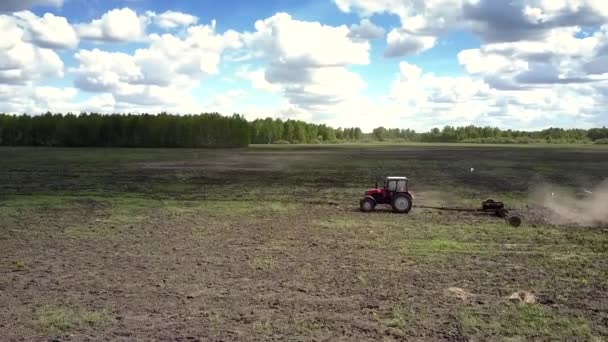 Ciągnika sieje nasiona na rozległym polu przeciwko lasu na słoneczny dzień — Wideo stockowe