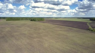 alanları ve ormanları güzel gökyüzü altında sonsuz countryscape