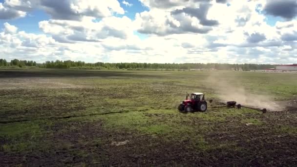 Ptáci létají okolo starý traktor vysetých semen na poli brázda — Stock video