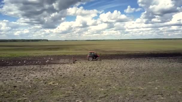 Eindeloze voorjaar veld trekker met harrow vogels vliegen rond — Stockvideo