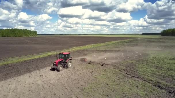 Vue aérienne champ de charrues tracteur avec herse et oiseaux volants — Video