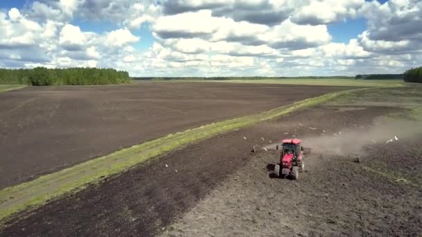 Красный трактор с видом с воздуха делает новую борозду с помощью небольшой рощи — стоковое видео