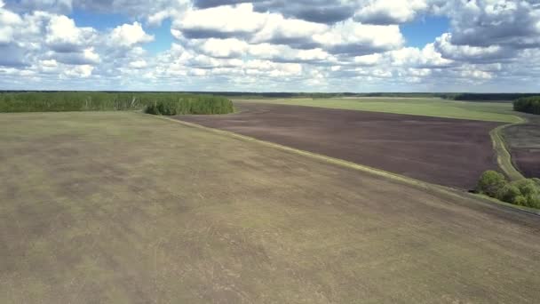 Bird eye view boundless fields against forest under nice sky — Stock Video