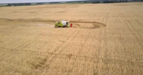 Luftbewegung über gelbem Feld zum leistungsstarken Mähdrescher — Stockvideo