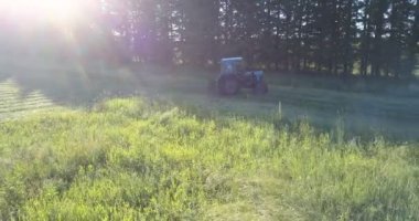 Traktör biçme makinesi ile tarım arazileri sürücüler ve çim mows