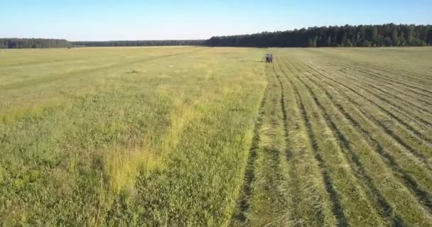 Cortador de feno se move ao longo de terras agrícolas e reúne grama — Vídeo de Stock