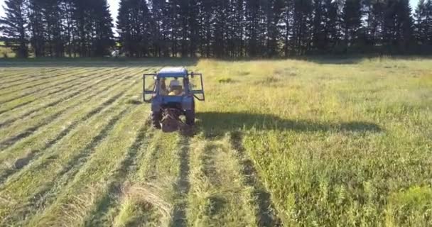 Haymaker klipper gräs av träd lysande under ljusa solen strålar — Stockvideo